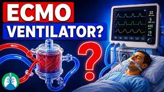 Is ECMO a Ventilator?