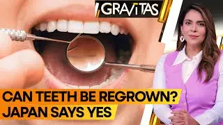Gravitas: Losing teeth? This drug can re-grow them | WION