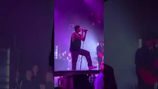 Around the world and back - State Champs