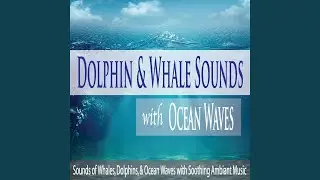 Dolphin Dreams for Deep Sleep
