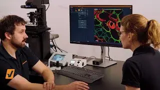 How does TIMEBOW lifetime imaging work and why is MATRIX array detection a perfect match?