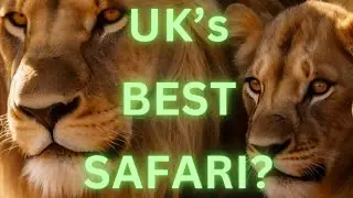 Welcome to Woburn Safari Park the Ultimate UK Destination For Animal Lovers