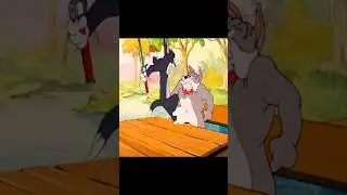The tom and jerry show | tom amd jerry cartoon | #tomandjerry#tomandjerryshow#tomnjerry