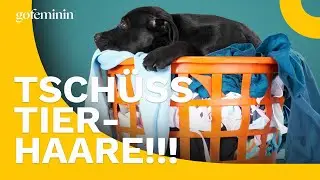 Tierhaare in der W&auml;sche? SO wirst du sie los!