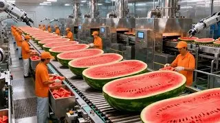 How Watermelon Turns Into Juice 🍉 | Inside Modern Factory Process
