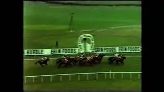 1981 Erin Foods Champion Hurdle