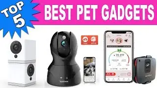 Top 5 Best Pet Gadgets 2020