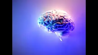 Science Discovers The Unique Brains & Nervous Systems of Empaths!