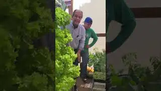 Hidroponika segunda visita a huerto piloto en los cerros de Manchay en Lima