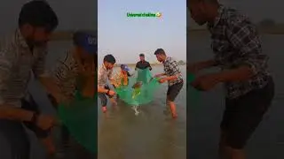 Universal Chakna🤣🤣 #trending #viral #funny #comedy #vlogs #sachinvlogs #youtubeshorts #explore