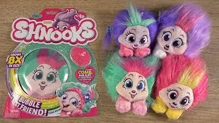 SHNOOKS - From Bubble To Best Friend
