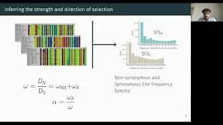 The genomic determinants of adaptive evolution in a fungal pathogen | Julien Dutheil