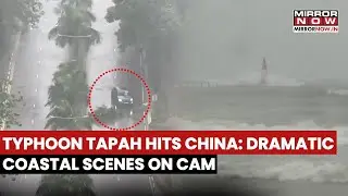 Typhoon Tapah News: Watch Huge Tsumani-Like Waves Batter China's Guangdong; Dramatic Coastal Scenes