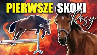 WOLNE SKOKI ROSY 🔥