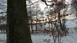 Promno- jezioro Drążynek- Promno 04