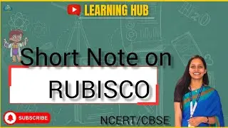 What is RuBiSCO?   | Important for Htet/Kvs/Emrs | Photosynthesis 