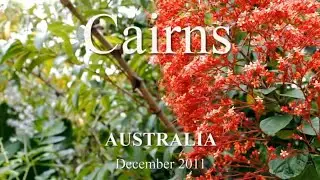 CAIRNS - Are there crocodiles here?