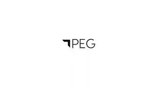 PEG Intro - PPC Agency Germany - GoogleAds, FacebookAds and Digital Marketing Agency