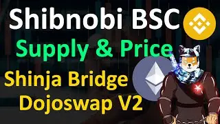 Shibnobi BSC Token Supply & Price | Shinja Bridge Site | Dojoswap V2 Update| Shinja News