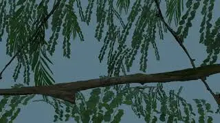 Ziva VFX Frog Simulation &ndash; Ludwig Ek