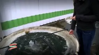 Cap sur la p&ecirc;che fran&ccedil;aise - Emission n&deg;18: Innovation et valorisation des PDM.