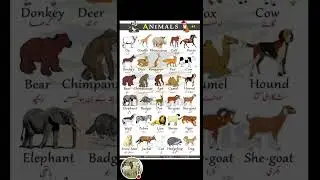 Animals Hub | Discover Amazing Animal Stories & Farming Tips 🐐🐪