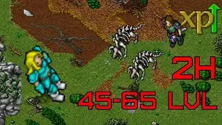Tibia 2022 low level hunt Edron bonebeast | 45-65 in 2 hours. | Best exp spawn: MS, ED, RP and EK.