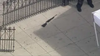 Police shoot armed suspect near Exposition Park