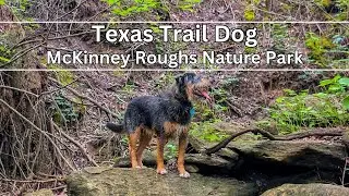 Hiking McKinney Roughs Nature Park: A Central Texas Adventure