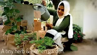 Making a herb & kitchen garden with Trellisbliss | Botanical Woman