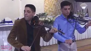Veselje kod Slobe Fenomena // Milan Strasni,Alex Cergar,Misa Cuban,Gorila,Sanjika,Perica