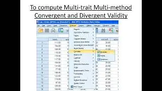 Validity in SPSS