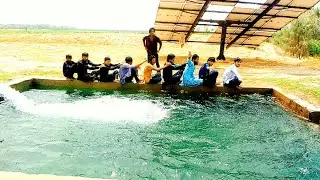Big swimmg pool||Desi swimming pool 🏊||Village swimming pool|Boys swimming pool Desi swimming