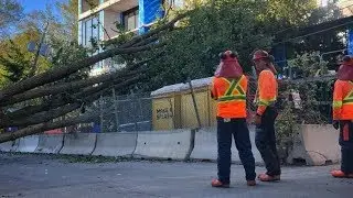 Atlantic Canada cleans up after Hurricane Dorian