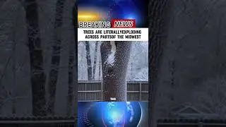 trees are literallyexploding across partsof the Midwest #hotnews #news #automobile #breakingnews