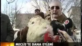 mecliste danalı eylem