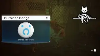 Stray | Outsider BADGE 100% Guide #trophy