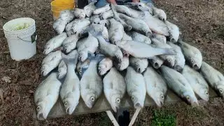 Рыбалка на белого окуня @fourjhuntingandfishing #белыйокунь #рыбалка #речнаярыбалка