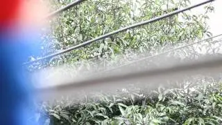 政大廣告畢展-Chocomosa(預告片2)-該出發囉.mpg