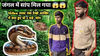 जंगल में सांप मिल गया 😨 | Achanak Samne Aaya Zehrela Snake | Shocking Jungle Scene