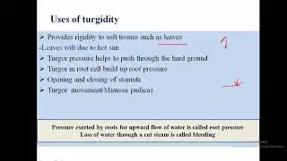 Absorption by roots, turgidity, root pressure, part 4, plasmolysis,