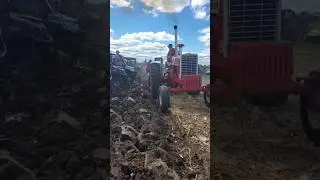 International Harvester 1206 Plowing at the Half Century of Progress Show '25 #farmer #farmlife