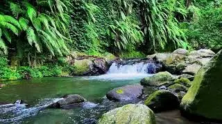 Calm River Flow &ndash; Relax, Meditate, and Unwind in Nature | sleep - relax - enjoy life - ASMR