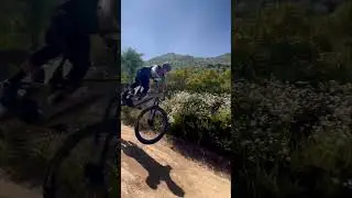 Raw sound of mtb flow. #mtb #emtb #mtblife #shorts  #goodtimes