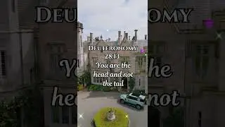 I Read Deuteronomy 28:13 Every Day. Then THIS Happened. #shorts #short #shortvideo
