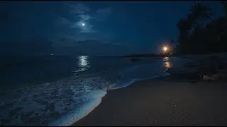 Tropical Night Ocean Waves 🌙 Peaceful Live ASMR from Enggano Island | Deep Sleep & Relaxation