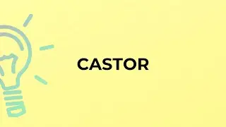 What is the meaning of the word CASTOR?
