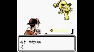明けましておめでとうございます！　POKEMONクリスタルナズロックランドマイザー　０１