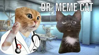Dr. Meme Cat | Patient Cross Eyed Cat