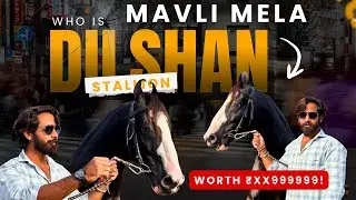 Legend stallion at मावली मेला  || Mavli mela 2025😍😍 full enjoy @hindudhawal 
